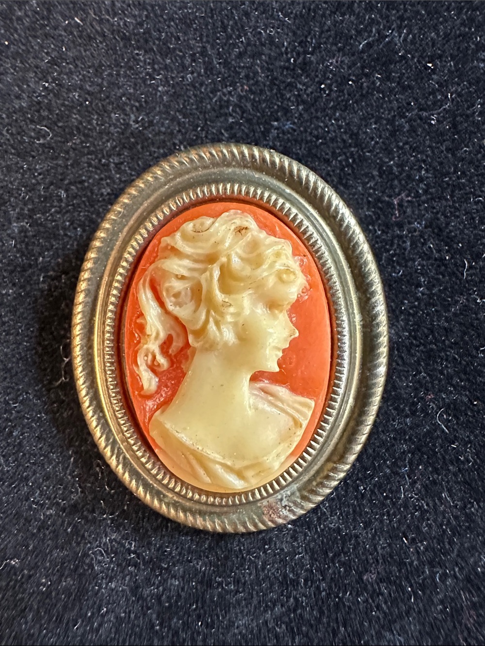 326- Vtge Classic Cameo Brooch in Ivory and Coral Resign